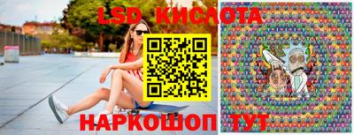 шишки Конаково