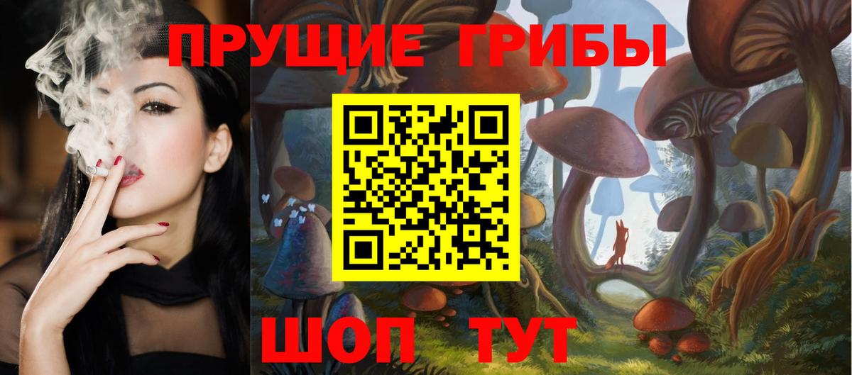 Галлюциногенные грибы GOLDEN TEACHER  Вход с VPN  Псилоцибиновые грибы прущие грибы  Камышлов 